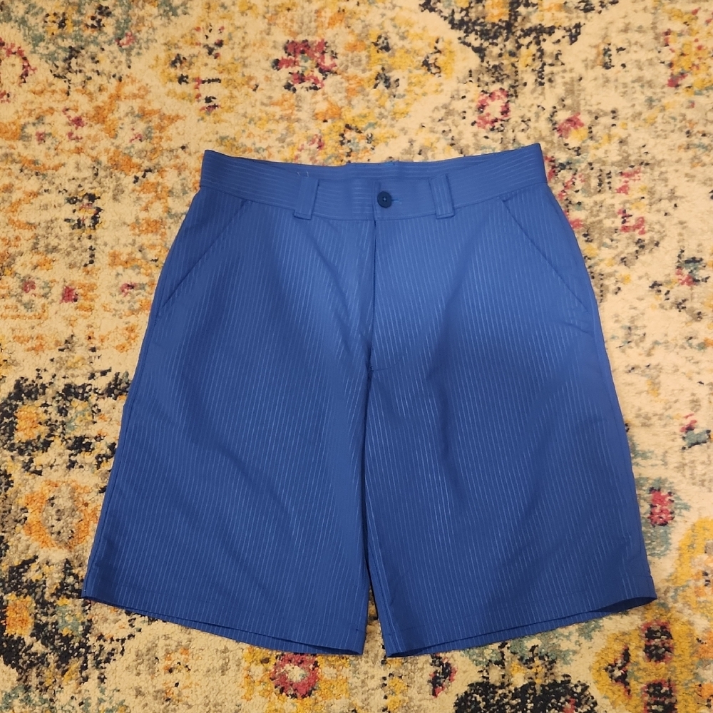 Under Armour Men's Blue Pinstripe Shorts